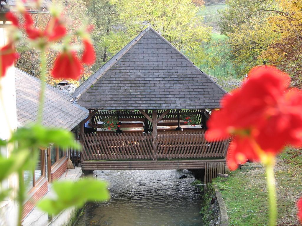 שמריישקה טופליצה Guesthouse Zorko Gostilna Domen מראה חיצוני תמונה