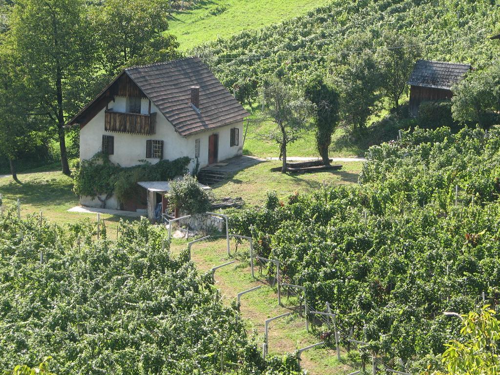 שמריישקה טופליצה Guesthouse Zorko Gostilna Domen מראה חיצוני תמונה