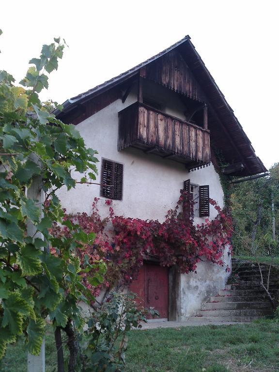 שמריישקה טופליצה Guesthouse Zorko Gostilna Domen מראה חיצוני תמונה