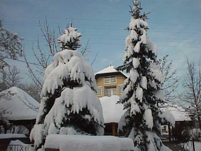 שמריישקה טופליצה Guesthouse Zorko Gostilna Domen מראה חיצוני תמונה